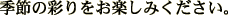 �G�߂̍ʂ�����y���݂��������B